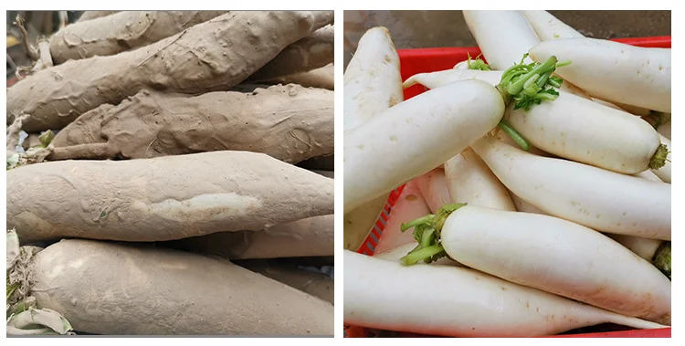 в Россию щёточная машина для мытья и пилинга картофеля