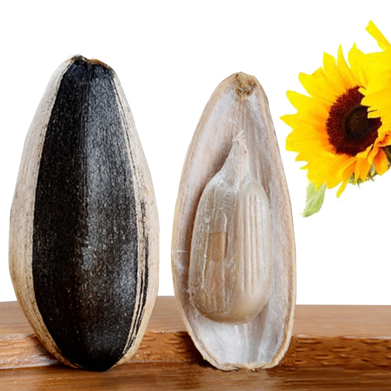 Raw China Wholesale Sunflower Seeds 363 Inner Mongolia best quality cheap price export factory