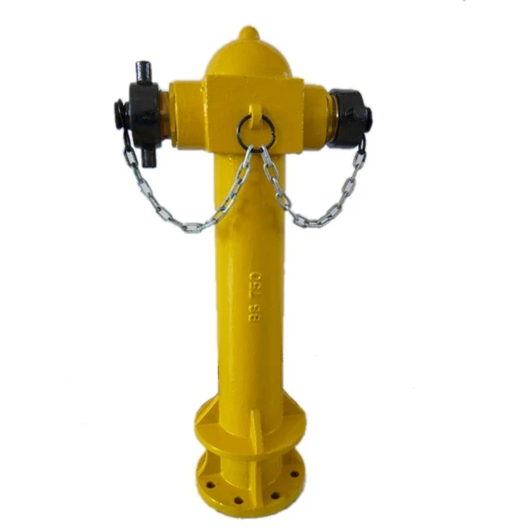 BS750 DN100 inlet ground 65mm two way fire hydrant with NH coupling