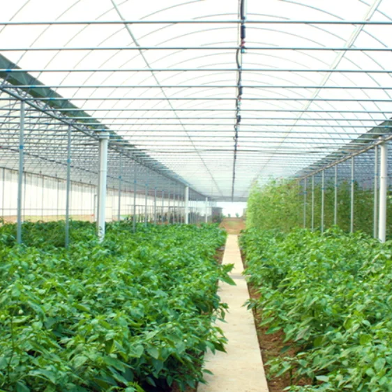 Liquid urea liquid nitrogen fertilizer 422-0-0 leaf fertilizer