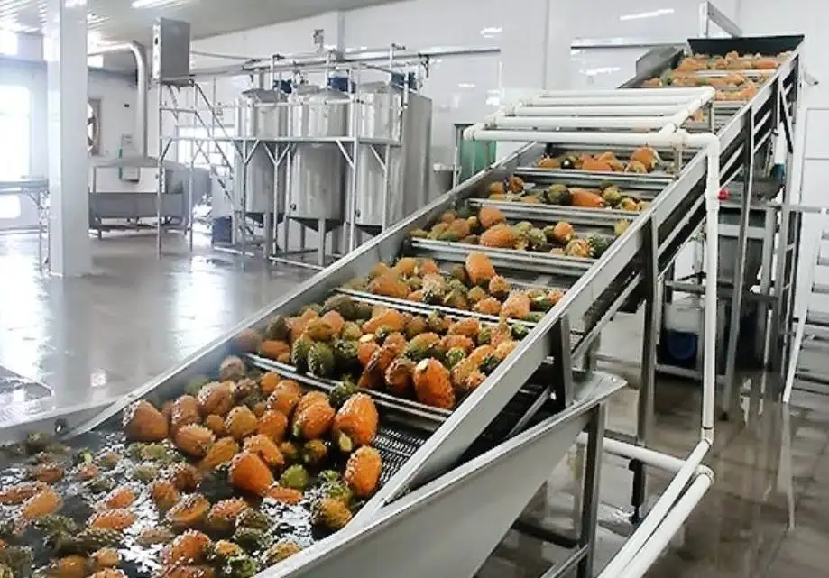 Автоматическая Коммерческая линия по производству фруктовых соков полностью автоматическая промышленная установка по переработке соков цена на продажу