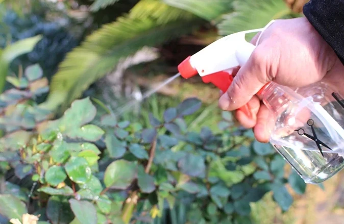 Colorful Gardening Tools Bonsai Tree Real Plant Carbon Steel Gardening Bonsai Tool Set For Trimmin