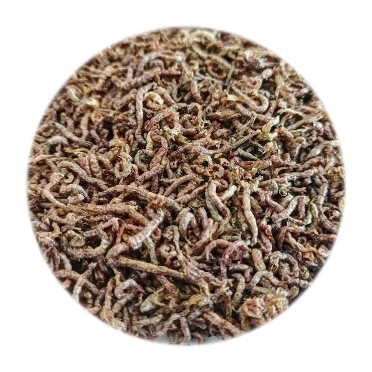 Support Customized High-nutrition, High-protein 6kg/carton Bulk Pure Freeze-dried Bloodworms for Fish
