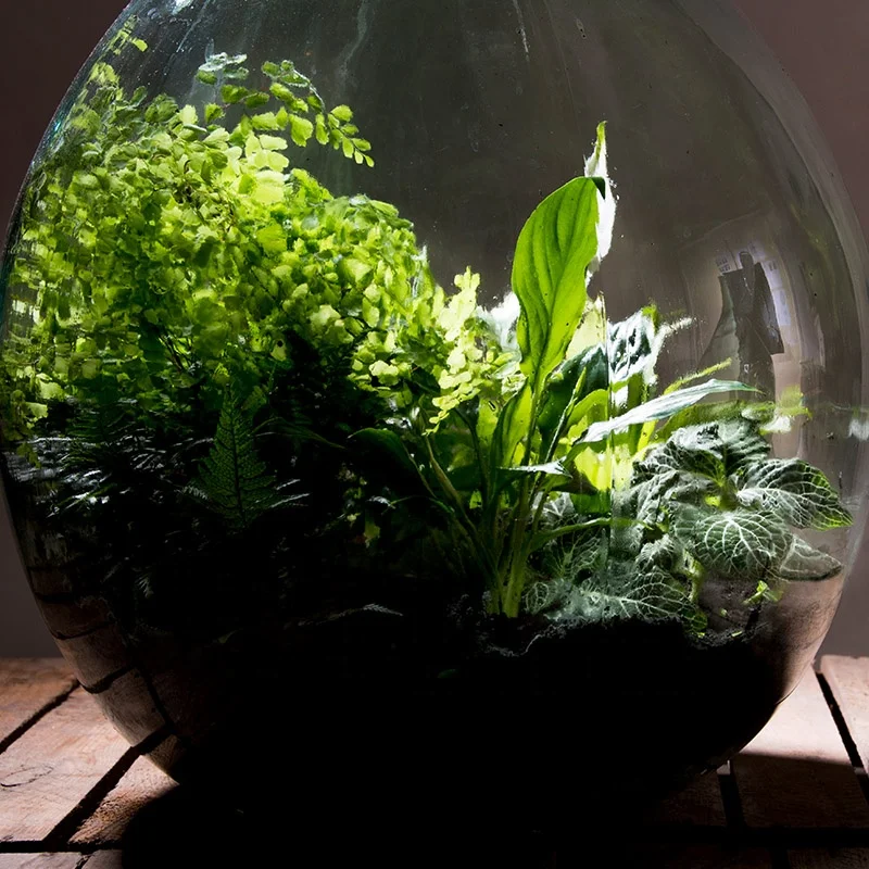 Esschert Design AGG50 indoor plant including toolset 50 litre set bottle glass closed terrarium with cork