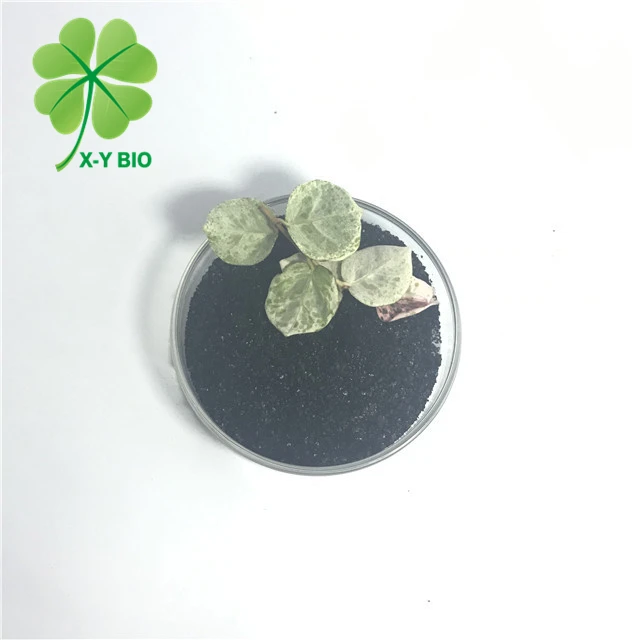 High Quality Nature Source Organic Humic AcidFertilizer Sodium Humate Flake 95%min