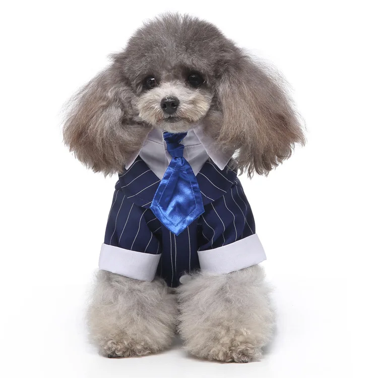 Multicolor Style Cute Wedding Suit Gentleman Formal Dog Suit