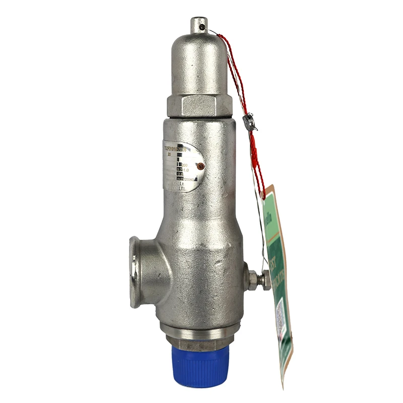 China Manufacturer Spring Safety Valve Stainless Steel high temperature valve 304/316