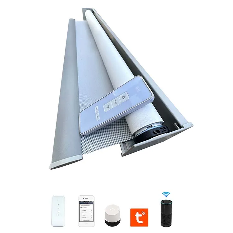 Customized dual sheer motorized automatic electric remote control roller shades blinds windows roller blinds
