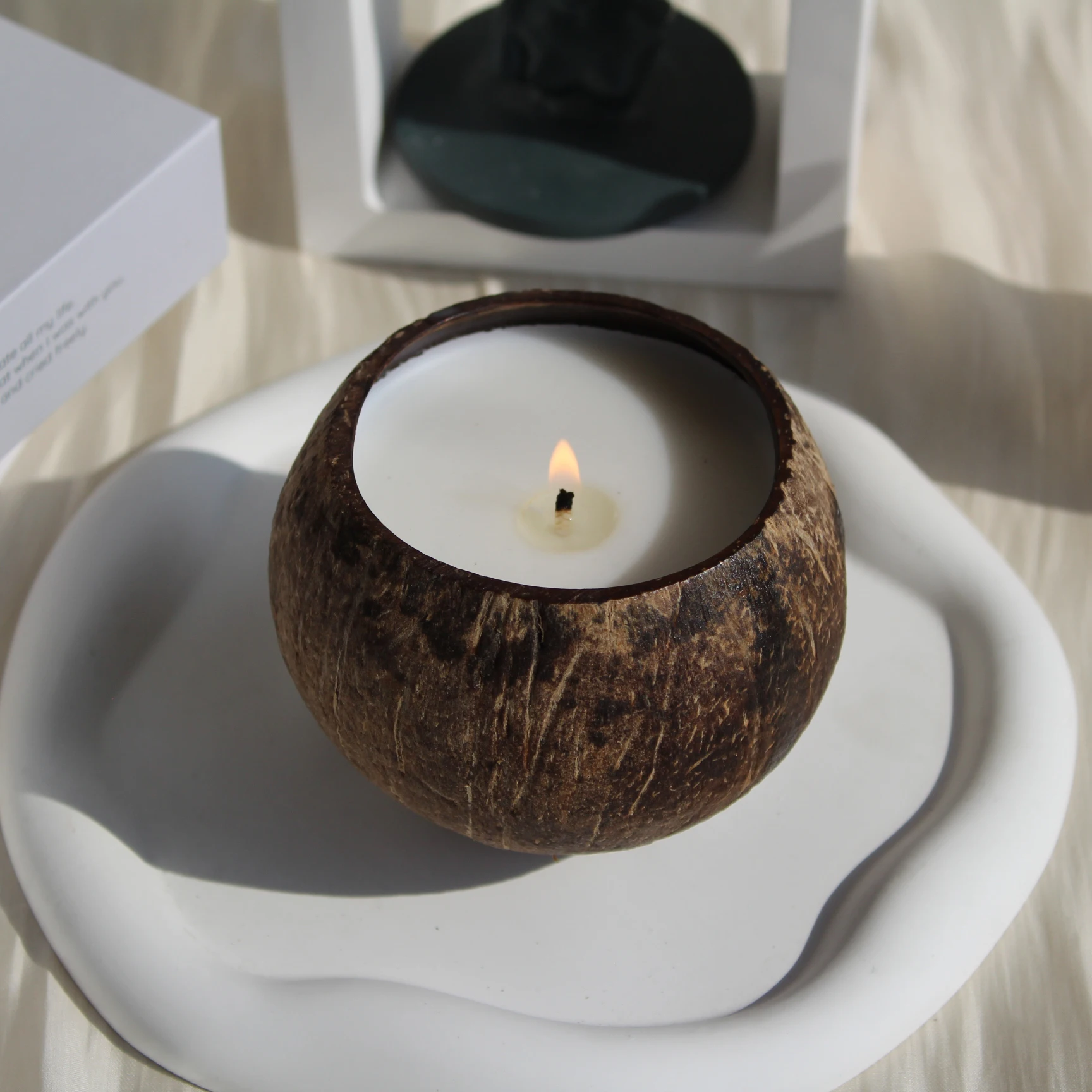Handmade Eco-Friendly Coconut Shell Bowl Scented Candles Natural Soy Wax Oil Creative Gift Weddings Christmas Easter Diwali Bulk