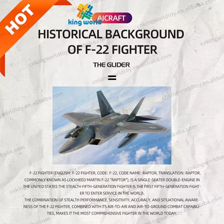 KW F22 BM08 2 Channels RTF Epp Foam Flying Jet Airplane Remote Control RC Air Plane For Sale