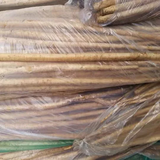 New crop of Chinese fresh burdock root wholesale price vacuum pack yellow burdock other fresh vegetables for sale