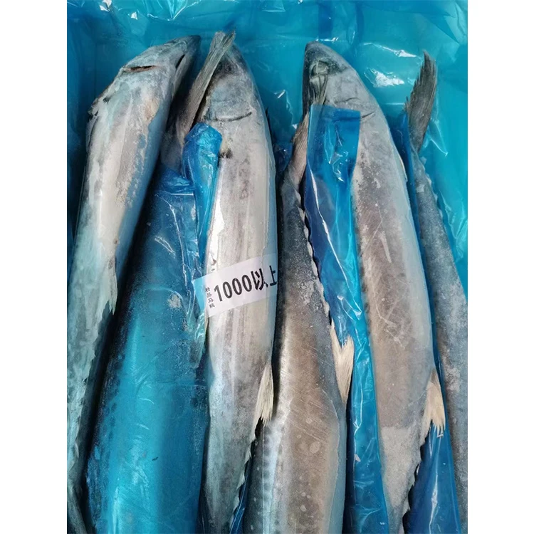 Горячая Распродажа, хорошая цена, морепродукты, все товары для скумбрии в Китае, дешевая замороженная рыба, испанская скумбрия, оптовая продажа