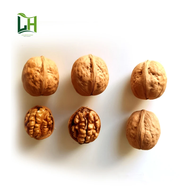 factory cheap price walnuts inshell 2022 walnut inshell white walnuts for sale