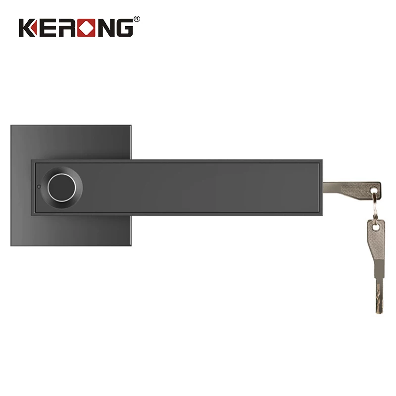 Fingerprint Lock Smart Electronic Door Lock Home Security Key Handle Lock