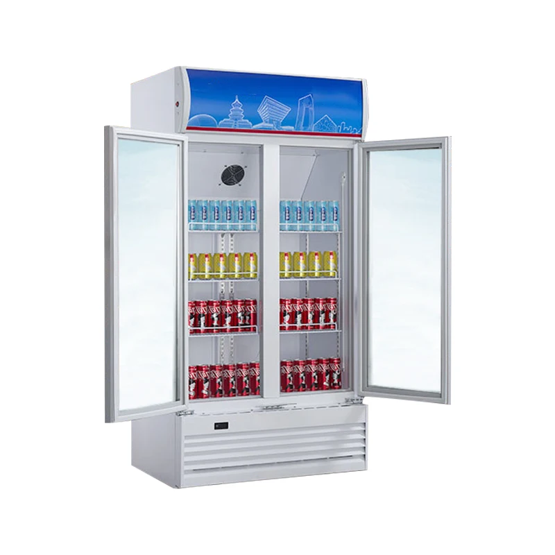 Low price 2 door chest freezer Made In China