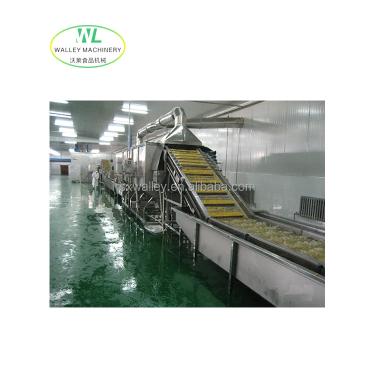 Hotsale Industrial Frozen Fruits and Vegetables Quick Freezing Line Okra Fast Freeze Equipment Rice Blast Freezing Machine