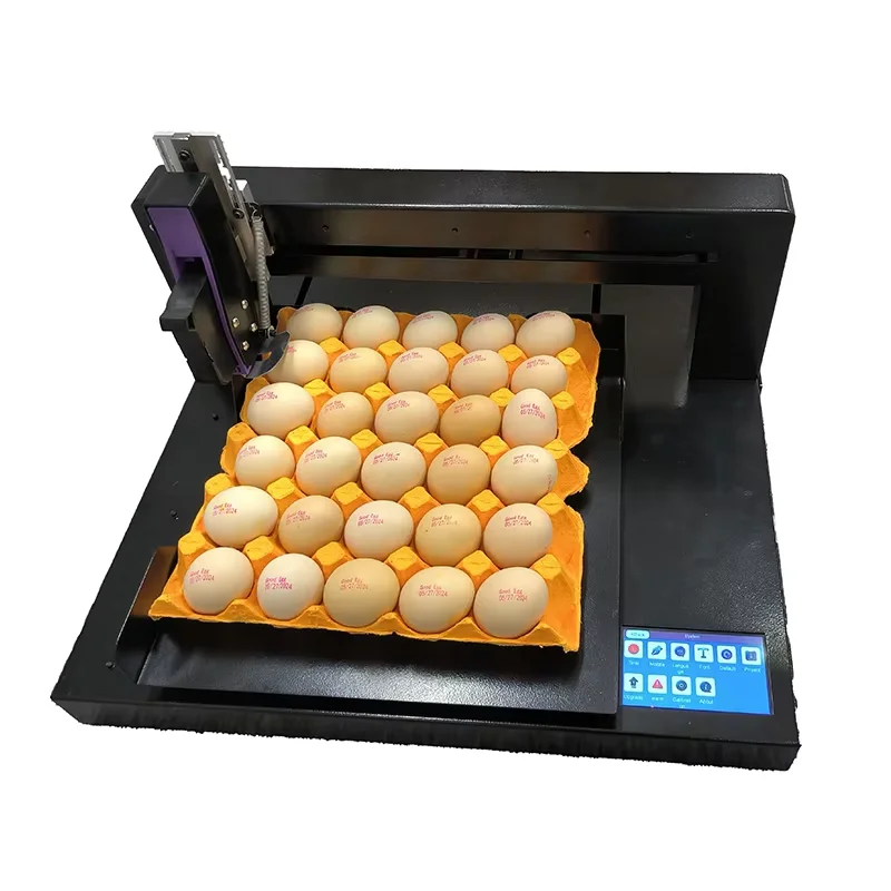 Good quality Continuous Inkjet Egg Printer Automatic Single Head Egg Date Coding Stamping Inkjet Printer