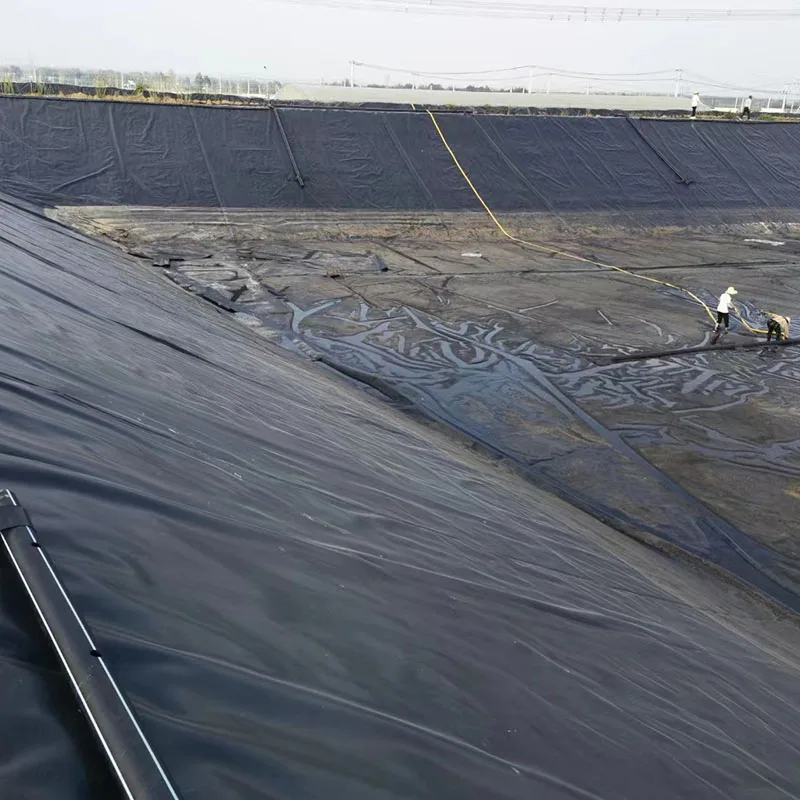 Pond Plastic Liner HDPE Geomembrane Sell Geo membran Price for Sale