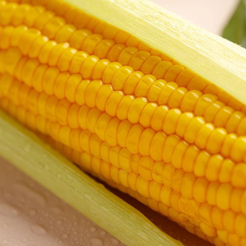 Non GMO Sweet Corn Canned with Brine Preservation Vacuum Pack Export to Dubai