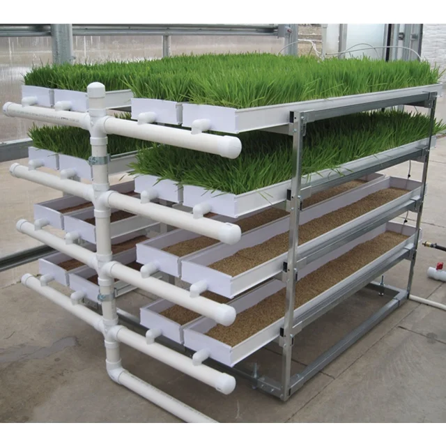 NFT PVC Hydroponics Barley Sprout System for Cow Horse Sheep
