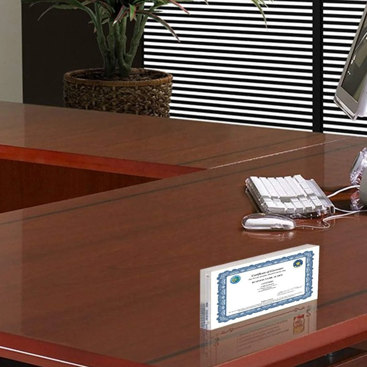 4x10 Acrylic Frame - Frameless Panoramic Photo & License Display - Sleek, Modern Design Acrylic Picture Frame