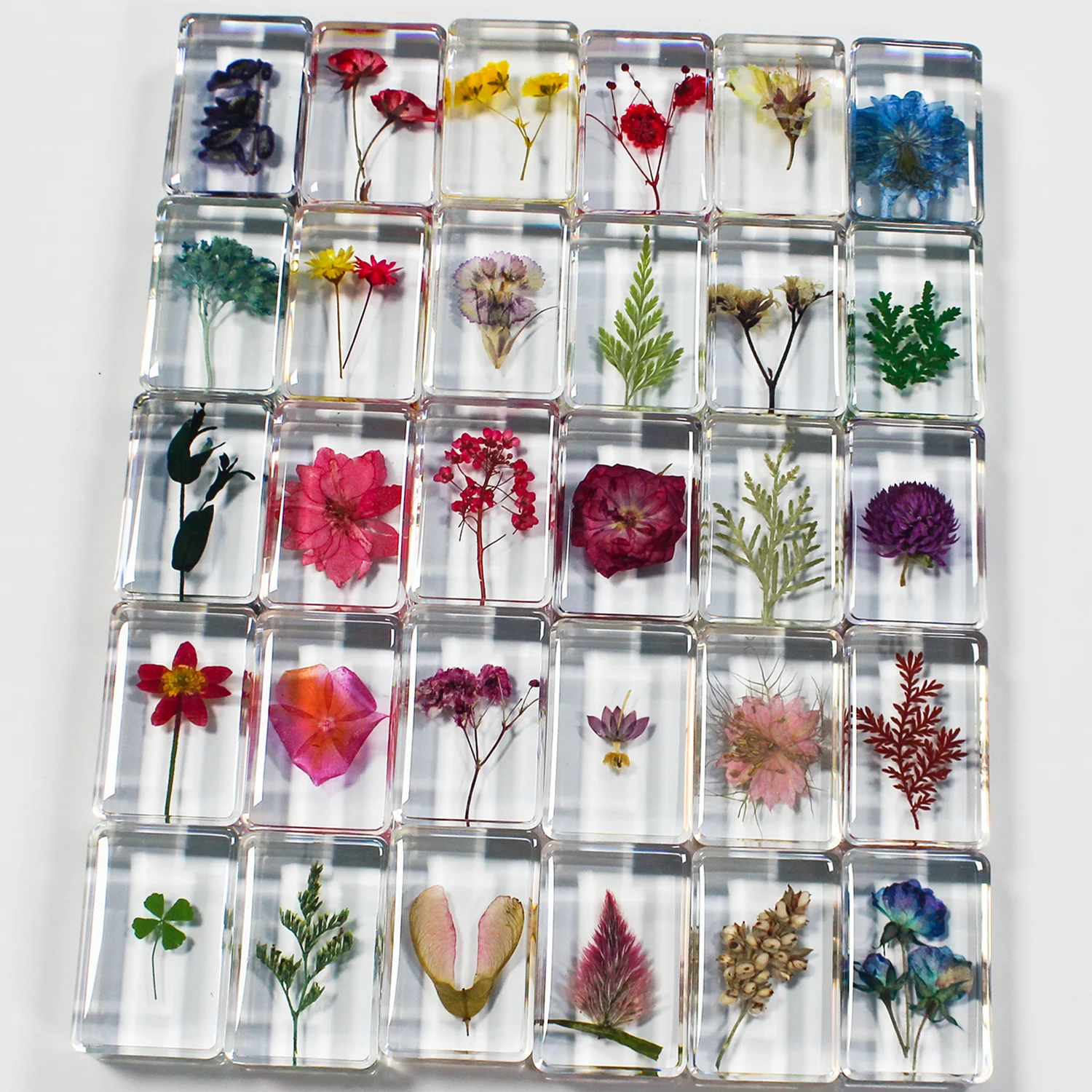 Nature botanical specimen epoxy resin flower paperweight lucite unique decor crystal craft