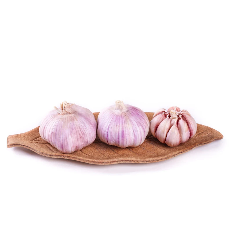Natural Fresh Garlic Supplier Available Affordable Price