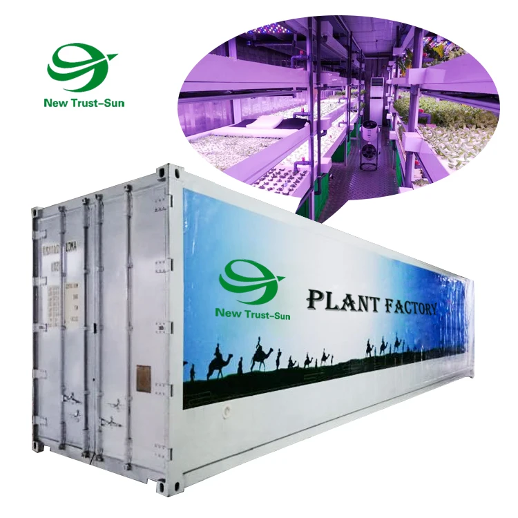 
microgreens container Vertical hydroponic shipping farming container grow smart farms 