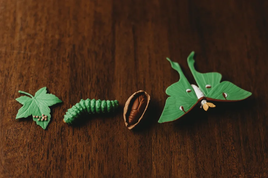 CPC CE Life Cycle Toys, Animal Figurines Toys Preschool Learning Education Montessori Toys for Kids