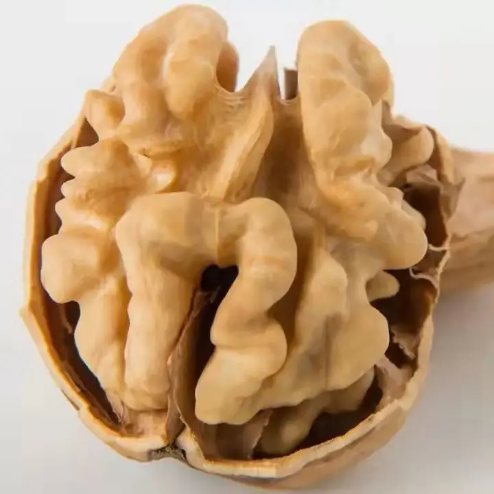 Supplier Wholesale Thin Skin Raw Organic In Shell Price China Walnut