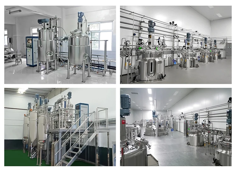 INNOVA Conical Fermenter 5L~1000L SUS316L stainless steel Fermenter for laboratory microbial culture