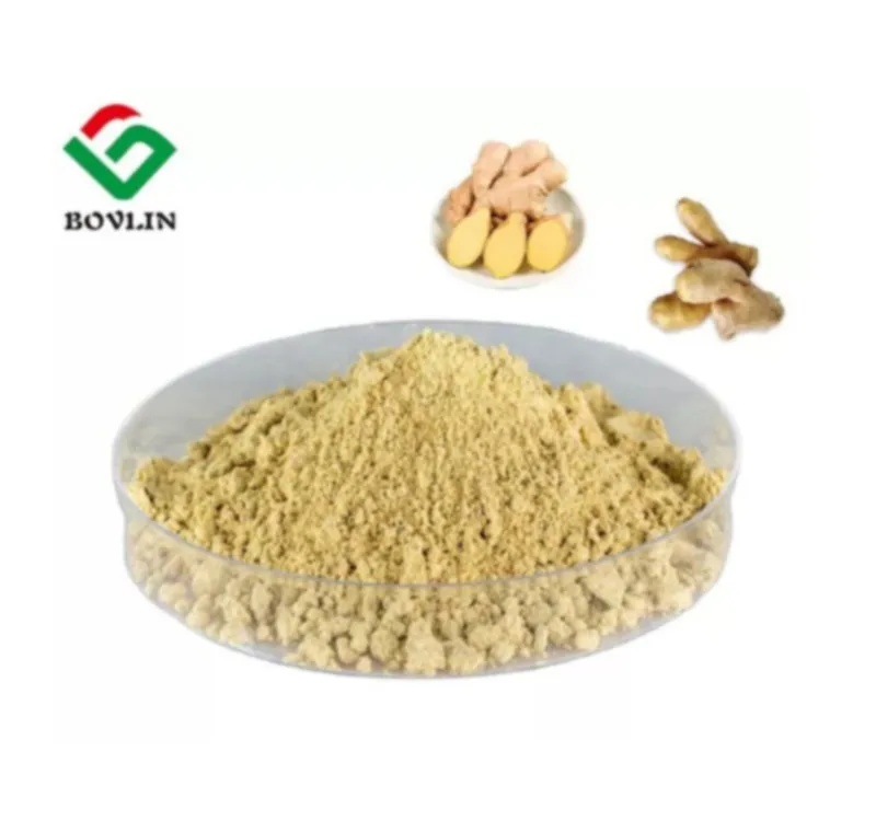 Pure ginger extract 5% Gingerol powder ginger extract (1600381517768)