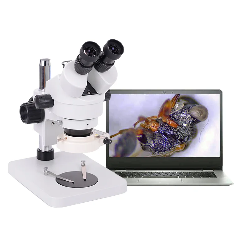 Jinusoh electronic Trinocular Stereo Microscope Stone Setting Microscope For Mobile Phone Repairing