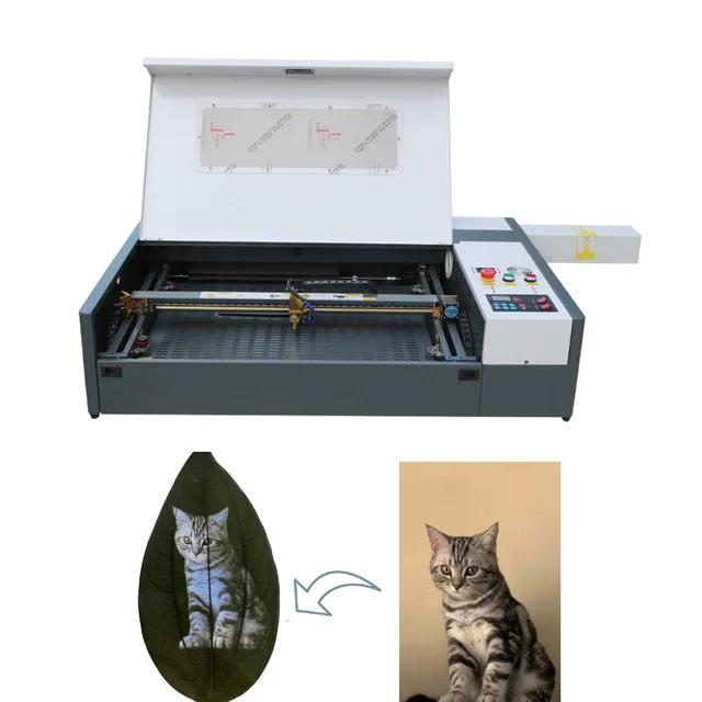 3020 40W Laser Engraving Leaf Laser Leaf Face Engraving and Printing Machine on Leaves
