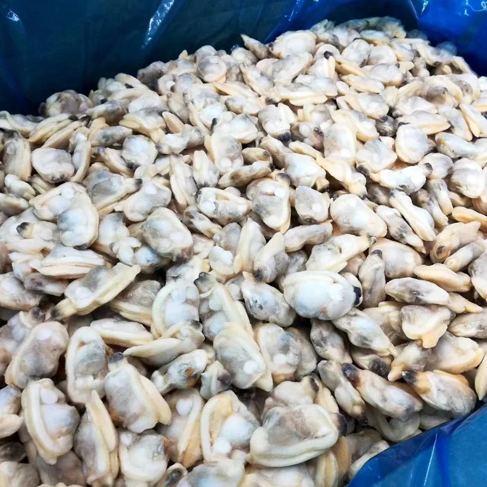 Лучшие продажи вкусные морепродукты свежие замороженные MSC сертифицированное желтое мясо моллюсков