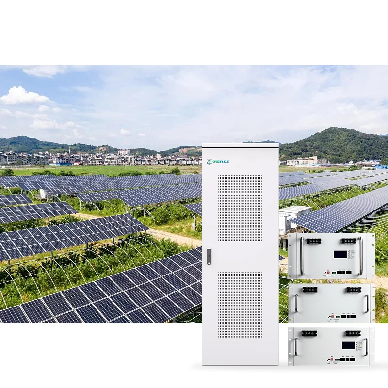 Rechargeable 48v 100ah Li Ion Battery 48vlithium Ion Battery For E Bikes