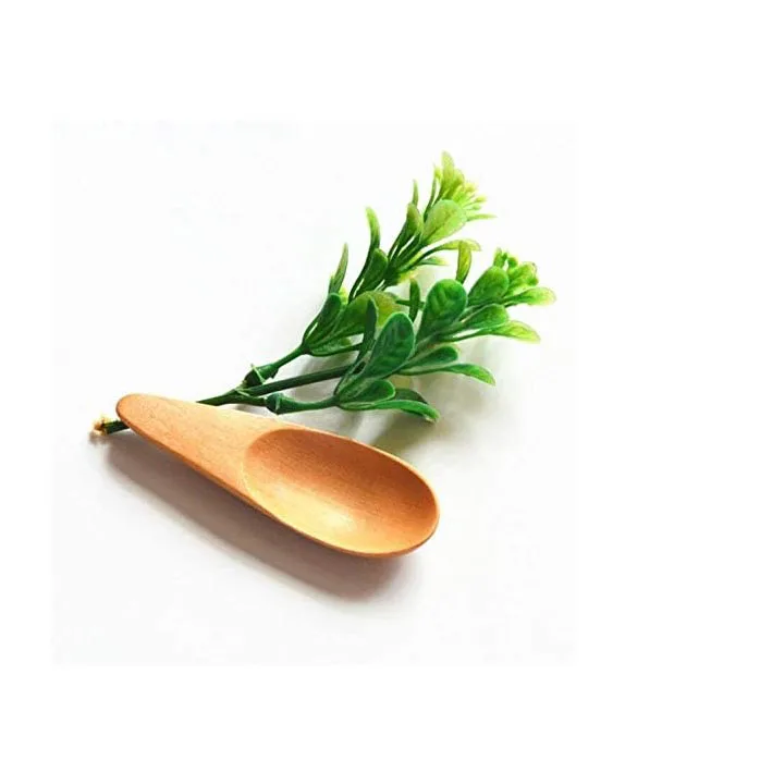 Small Organic Round Bamboo Wood Salt and Spice Pepper Spoon Container Pot Box Jar Wood With Removable Lid Bamboo Wood Salt Box