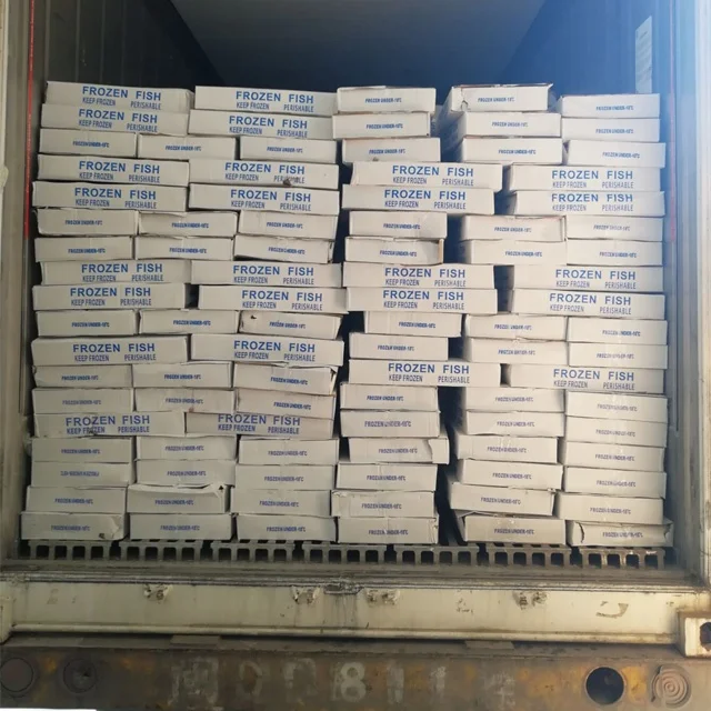 
Hot Sale Frozen Pacific Saury Bulk Mackerel Canned Jack Mackerel Fish For Ghana 
