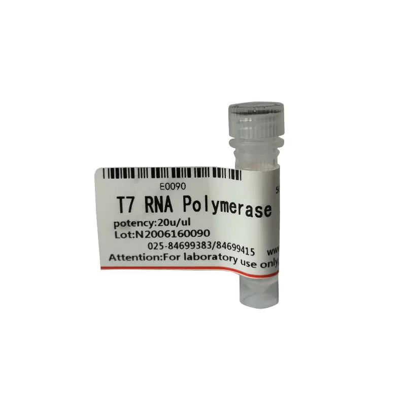 Provide high quality research reagent T7 RNA Polymerase  CAS  9014-24-8
