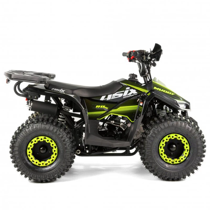 Tao Motor 2024 Kid Automatic with Reverse Chain Drive Mini Quad Bike 110cc ATV for Children