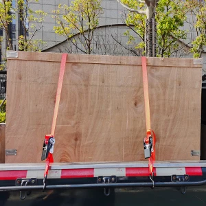 cargo ratchet tie down straps 2 pack for transport fixed S Hooks ratchet straps