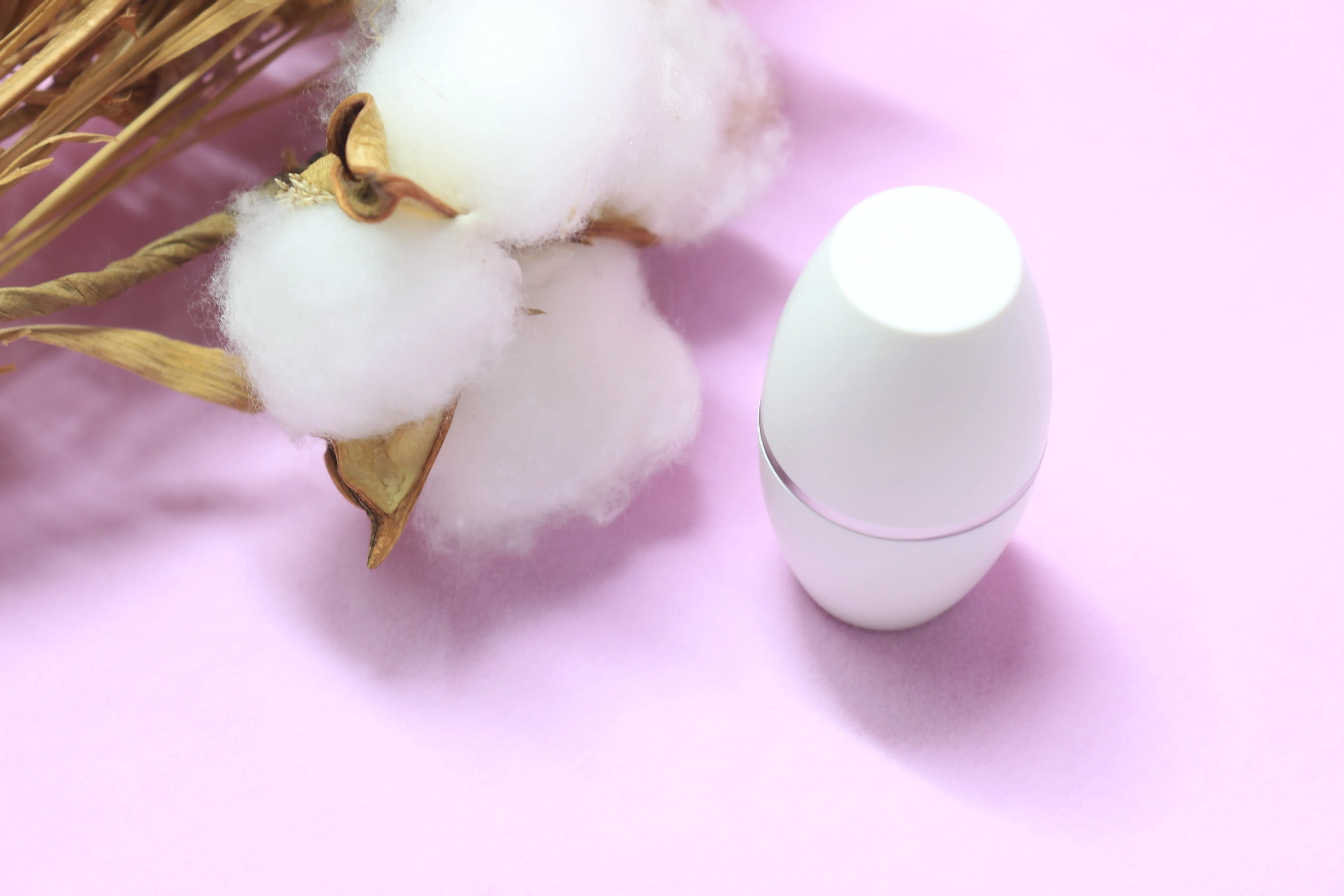 New Arrival Facial Oil Cleanser Tool Natural Volcanic Stone Oil Absorber Roller