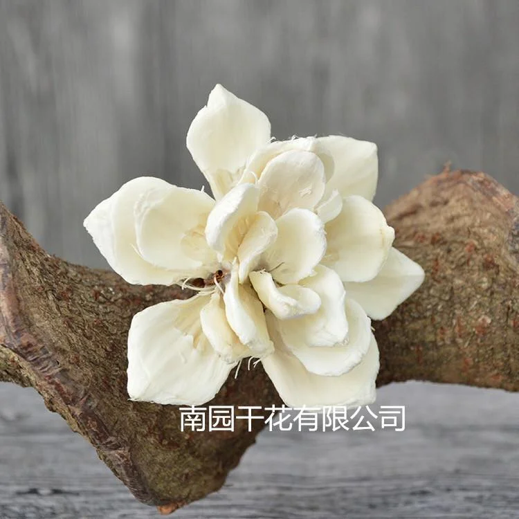 Handmade flowers mini dried flower bouquet materials Drunk the butterfly orchid flower