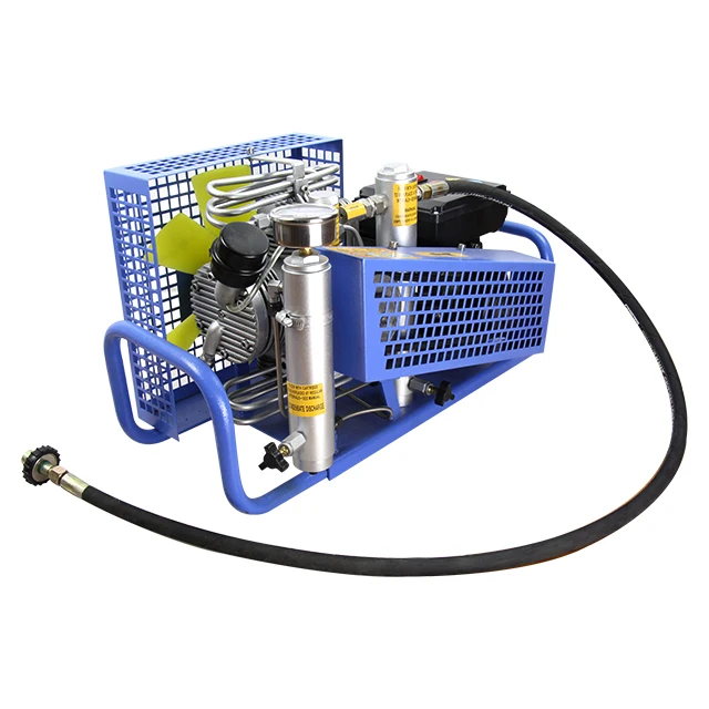 Portable Air breathing cylinder filling apparatus Inflator pump