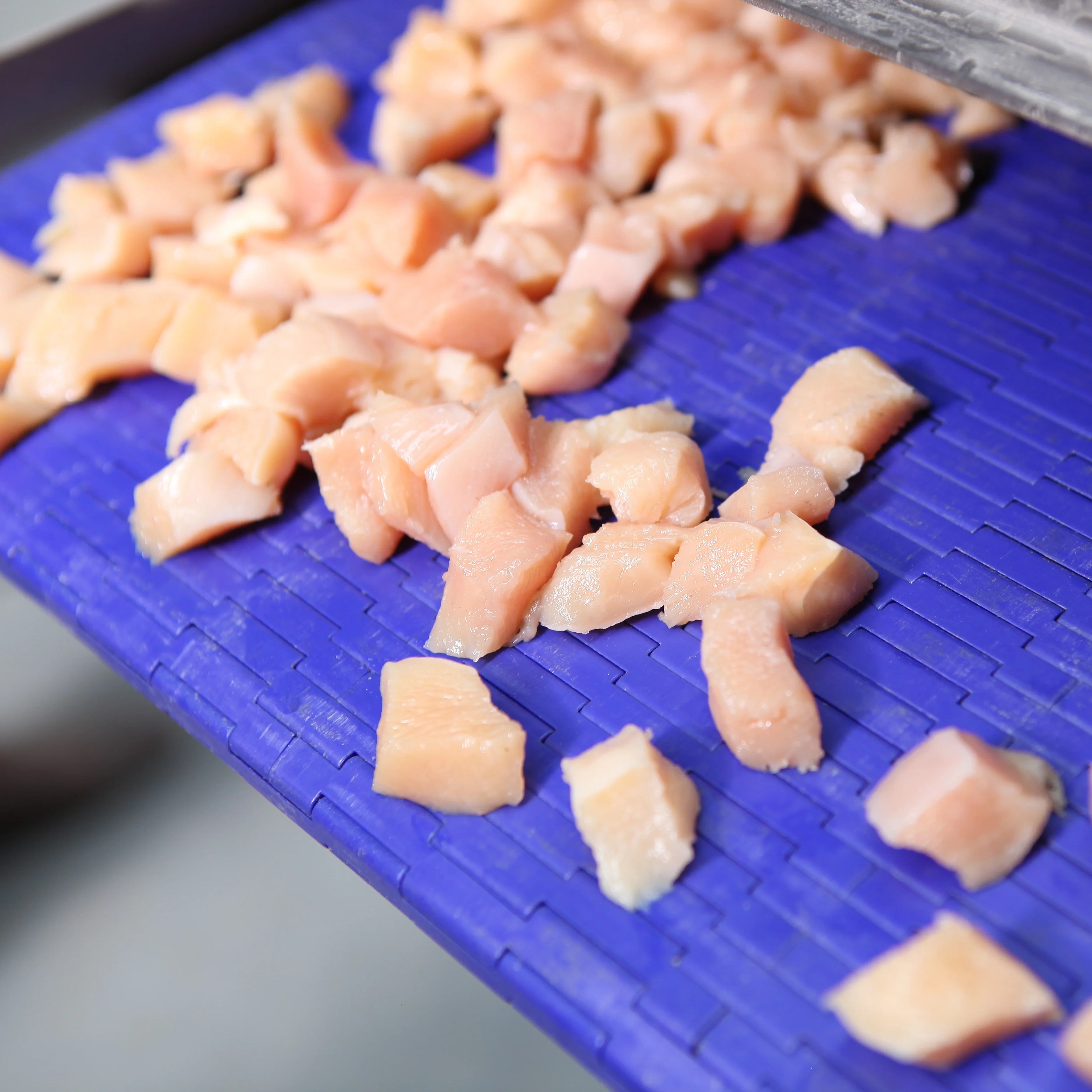 High efficiency automatic fresh goat meat beef steak roasted  fish slicer machine for food manufacturer