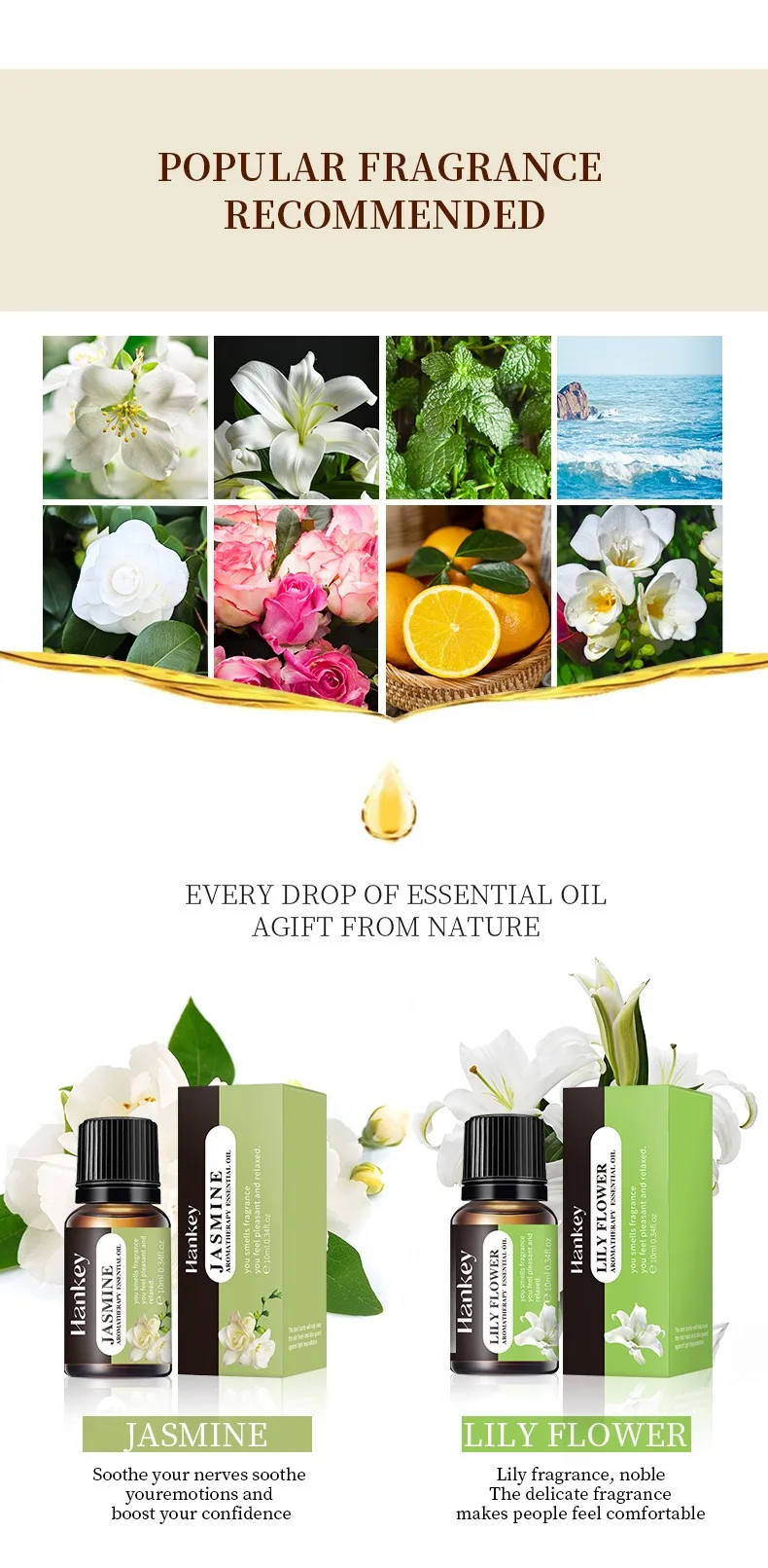 Hot Sale 10ML Pure Natural Plant Aromatherapy Essential Oil For Home Care Massage