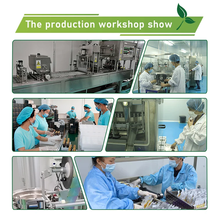 OEM High Potency Methyl Folate Supplement Capsules with Methyl B12 - Premium Quality L-Methylfolate Capsules