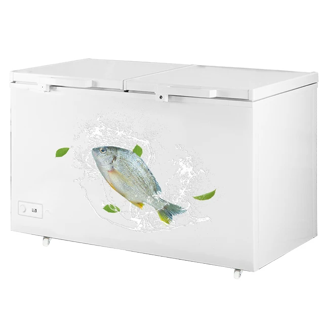 Big Door Sun Capacity Commercial Double Door Open Horizontal Absorption Chest Freezer