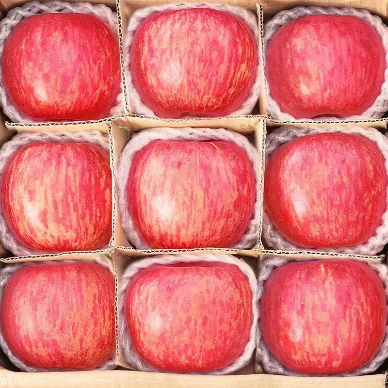 Wholesale Yantai Red Fuji Green Golden Delicious Apples Gala Apples  Fresh Apples for Sale