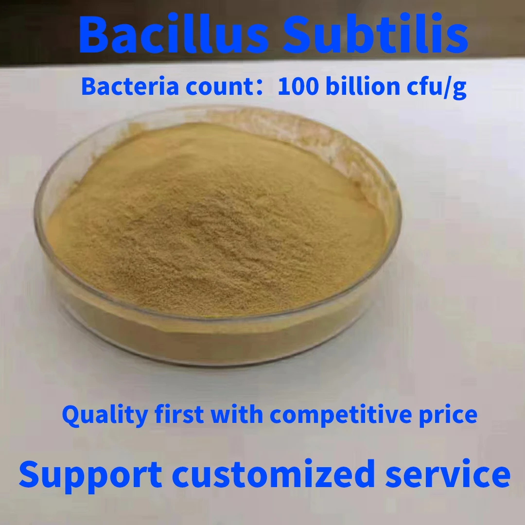 Заводская цена способствует укреплению здоровья соединения пробиотики Bacillus Laterosporus 100 миллиардов кубических футов